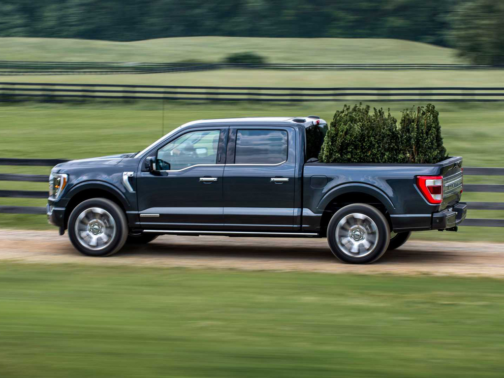 Download 2021 F150 Limited Interior Pics