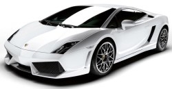 Gallardo